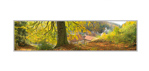 Boutique Cartes (Faire-part) 